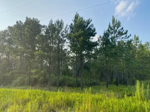 lot36 Crescent Farms Rd #36, Townsend, GA 31331
