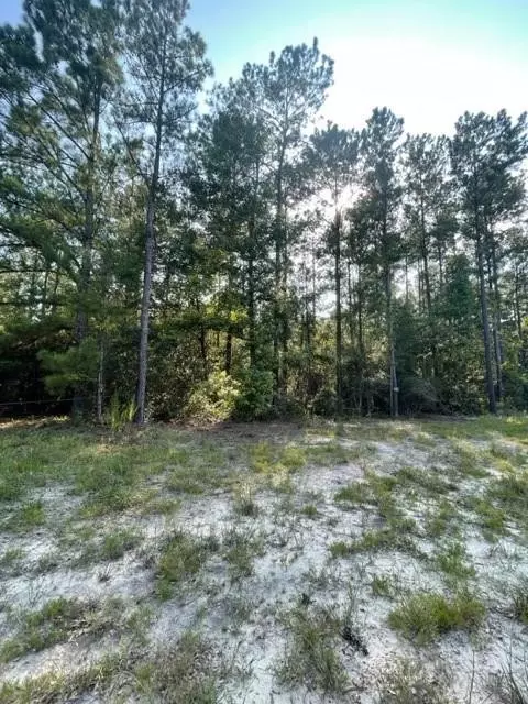 24 Revolutionary Rd SE, Townsend, GA 31331