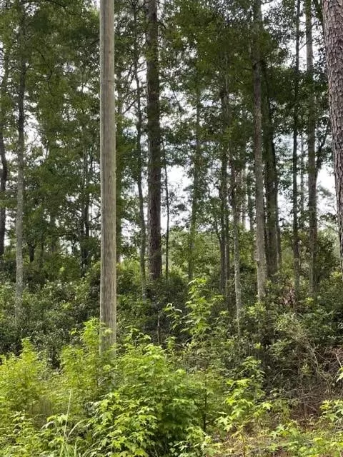 98 White Dr NE, Townsend, GA 31331