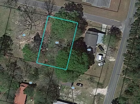 64 Center St, Nahunta, GA 31553