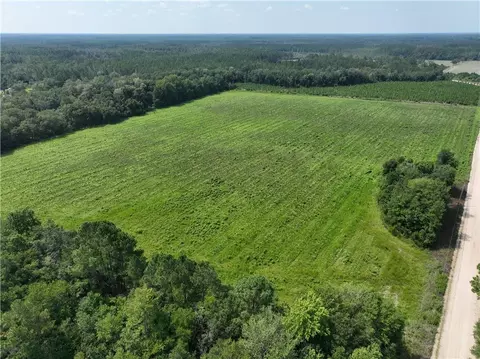 0 Groover Rd, Ludowici, GA 31316