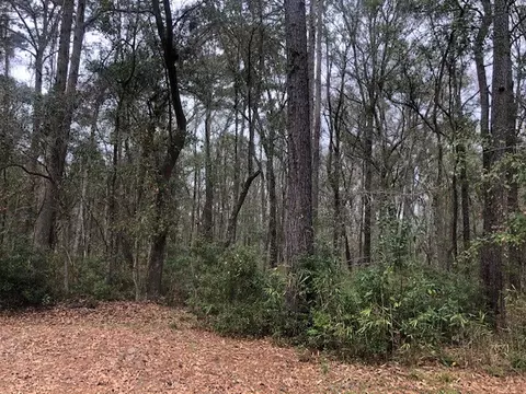 Ws Young Man Road, Townsend, GA 31331