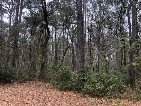 Ws Young Man Road, Townsend, GA 31331