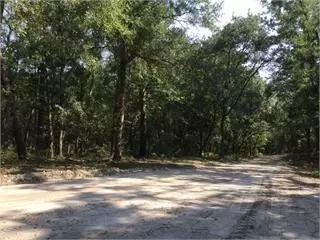 471 46 Acres Simons Bluff Rd, Woodbine, GA 31569