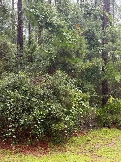 4108 341 Hwy S, Jesup, GA 31546