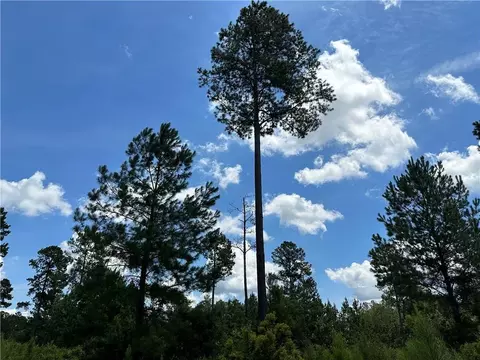 36 And 37 Landing Trl, Waynesville, GA 31566