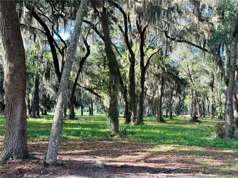 Lot 3 Sutherland Bluff Drive Ne, Shellman Bluff, GA 31331 photo 3