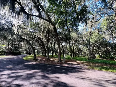 Lot 3 Sutherland Bluff Drive Ne, Shellman Bluff, GA 31331