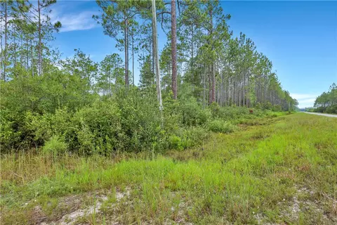 0 Suwannee Chapel Rd, Other, GA 31503