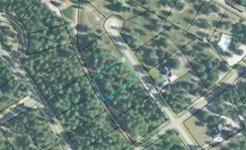 lot1 A-24 March Hen Rd NE, Townsend, GA 31331