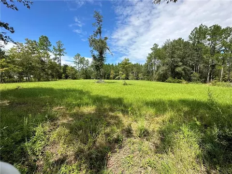 lot5 Reese St, Patterson, GA 31557