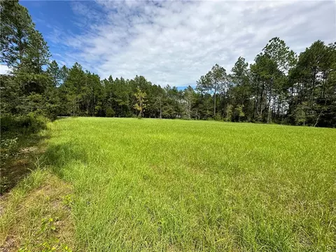 Lot 8 Dereck Lane, Patterson, GA 31557
