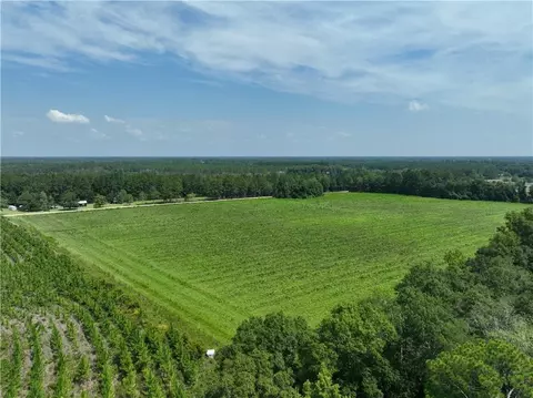 1 Groover Rd, Ludowici, GA 31316