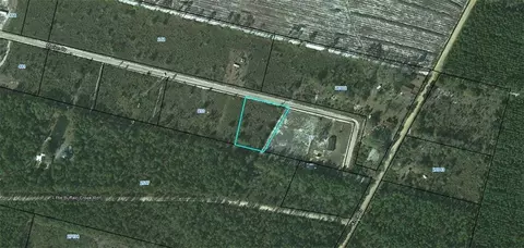 00 Marion Dr, Nahunta, GA 31553