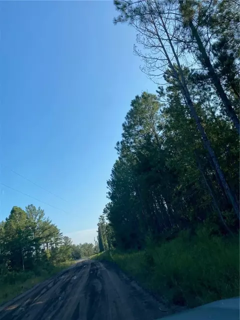 Lot 37 Crescent Farms Road, Townsend, GA 31331