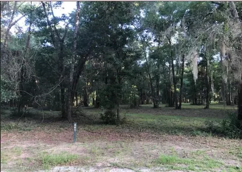 401 Blackberry Ln, Townsend, GA 31331