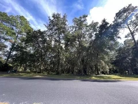 531 Woodstork Way #531, Townsend, GA 31331