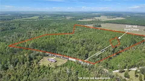 40 Acres - Lecount Rd, Townsend, GA 31331