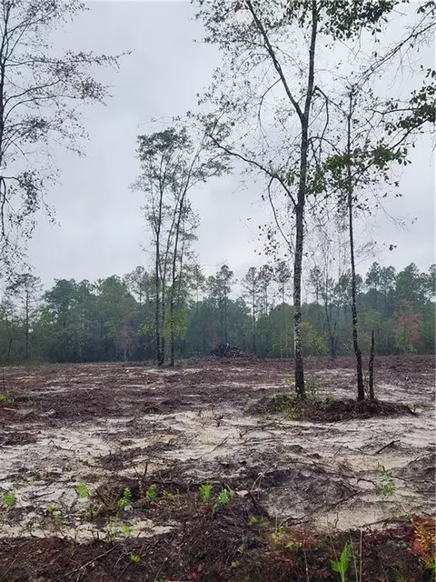 00 Drury Ln, Waynesville, GA 31566