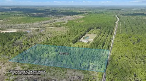 5 Ac Blues Reach Rd, Townsend, GA 31331