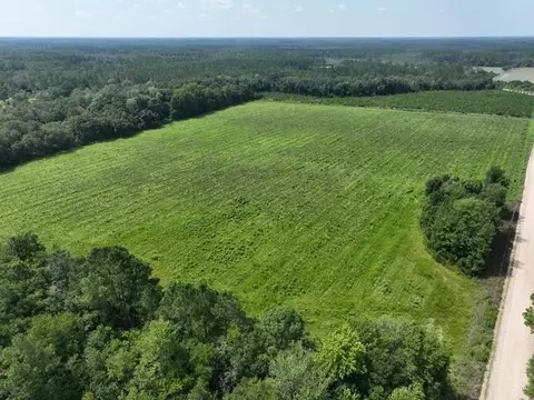 03 Groover Rd, Ludowici, GA 31316