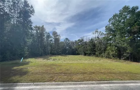 lot116 Marsh Oaks Dr, Waverly, GA 31565