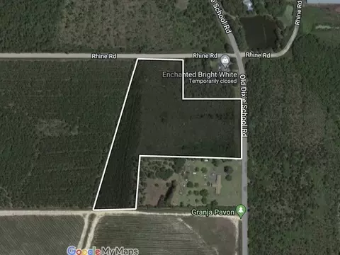 10 Old Dixie School Rd, Other, GA 31510