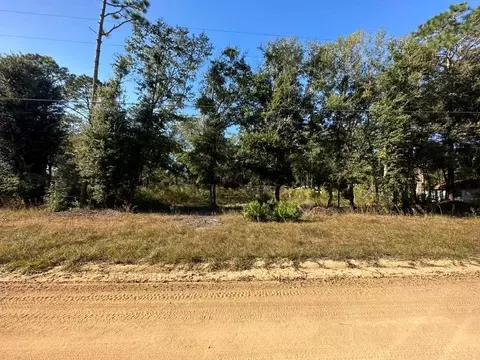 90 Thrasher Ln W, Jesup, GA 31545