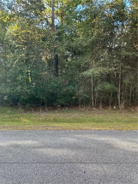 APT a-52 Sanderling Trail, Waverly, GA 31565