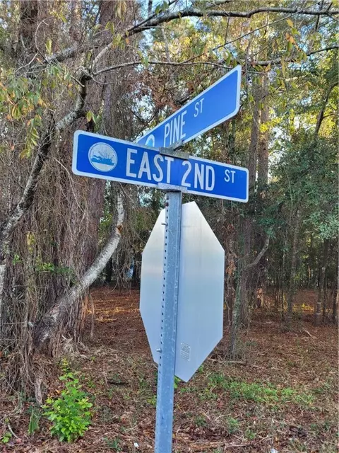 Vacant Lot Pine Street, Darien, GA 31305