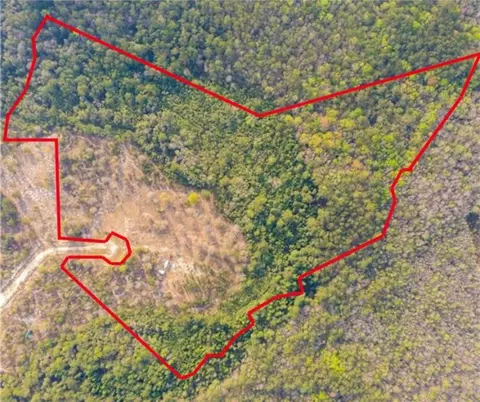 315 Red Gate Rd, Waynesville, GA 31566