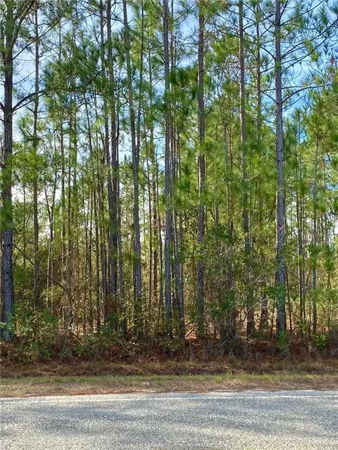 00 Sinclair Rd, Patterson, GA 31557