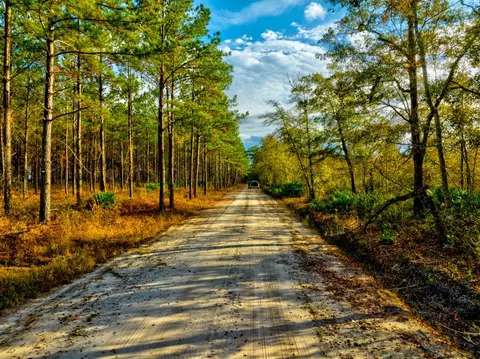 0 Glenmore Loop, Other, GA 31503