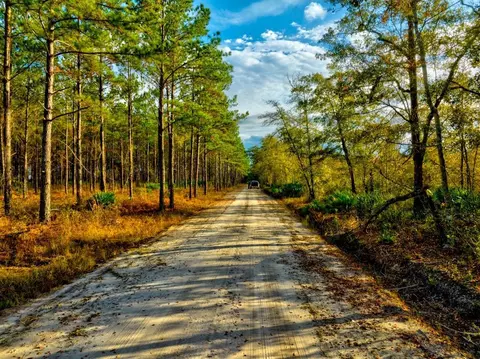 0 Glenmore Loop, Waycross, GA 31503