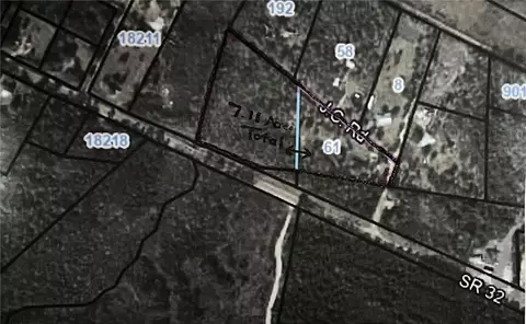 61 Wilkserson Rd, Hortense, GA 31543