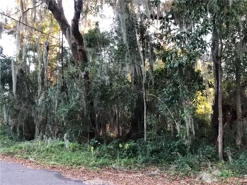 00 Owens Dr, Darien, GA 31305