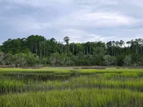 Lot 5 Parcel A Julienton Drive Ne, Townsend, GA 31331