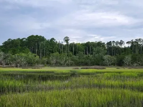 lot5 Parcel A Julienton Dr NE #5 PARCEL A, Townsend, GA 31331