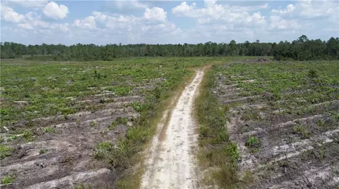 0 County Line Rd, Hinesville, GA 31313