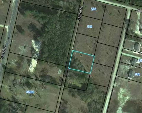 Lot 4 Harper Street, Nahunta, GA 31553