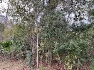 66 Timucuan Court, Saint Marys, GA 31558