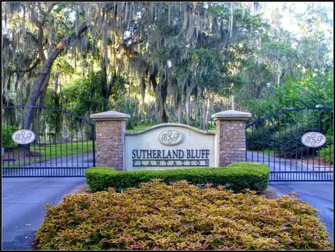 875 Oak Forest Drive Northeast, Shellman Bluff, GA 31331 photo 2