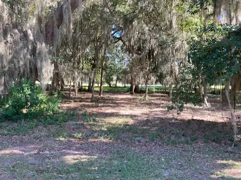 875 Oak Forest Drive Northeast, Shellman Bluff, GA 31331 photo 3
