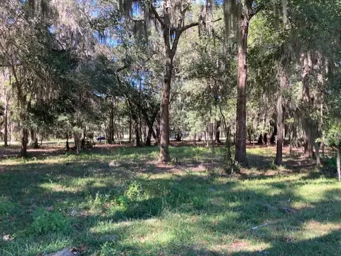 875 Oak Forest Drive Northeast, Shellman Bluff, GA 31331 photo 6