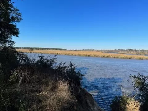 1019 Old River Rd, Darien, GA 31305