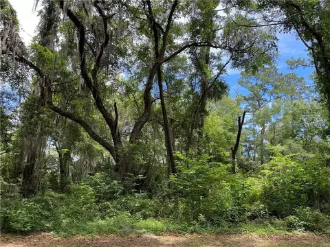lot30 Tolomato Dr SE, Darien, GA 31305