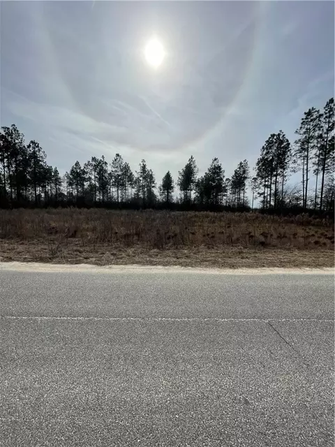 Lot 39 Stanfield Circle, Blackshear, GA 31516