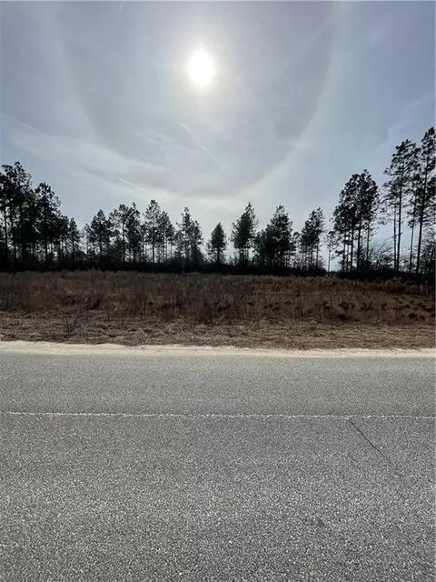lot39 Stanfield Cir, Blackshear, GA 31516