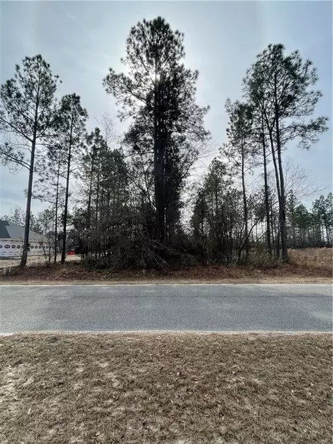 lot38 Stanfield Cir, Blackshear, GA 31516