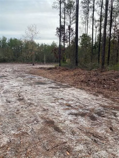 lot127 Colonial Coast Cir SE, Townsend, GA 31331